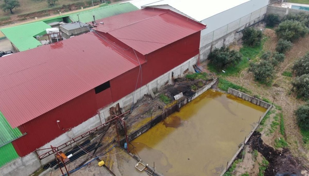 Depolar patladı tonlarca litre zeytinyağı araziye yayıldı