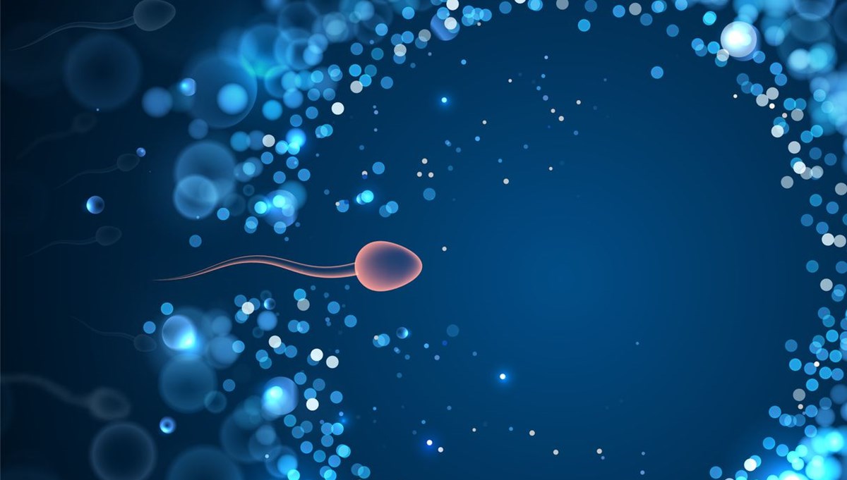 BioNTech aşısı kısırlık yapıyor mu? (Sperm sayısına etkisi araştırıldı)