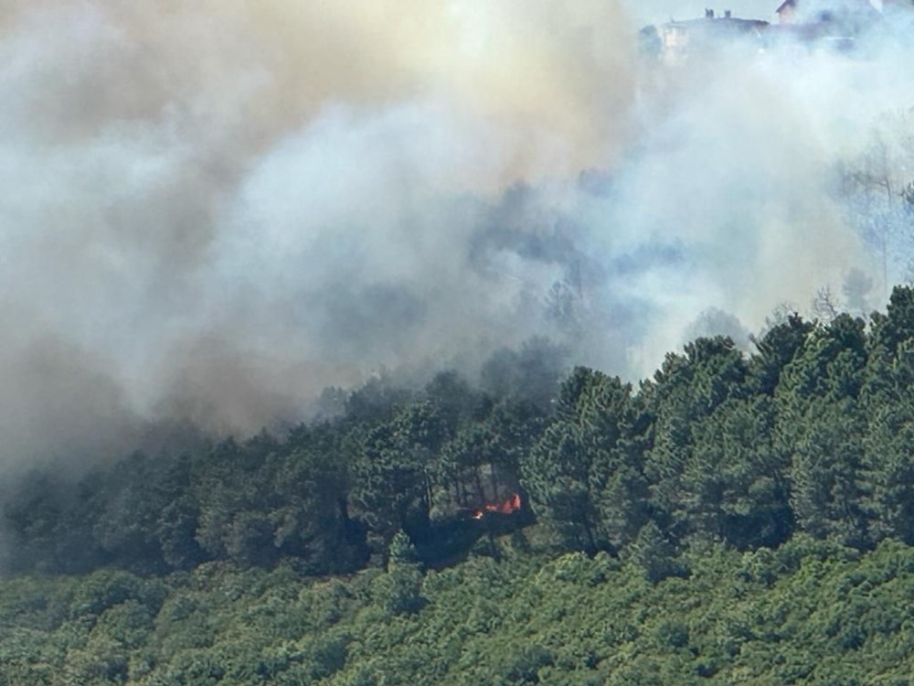 İstanbul Maltepe'de orman yangını - 1