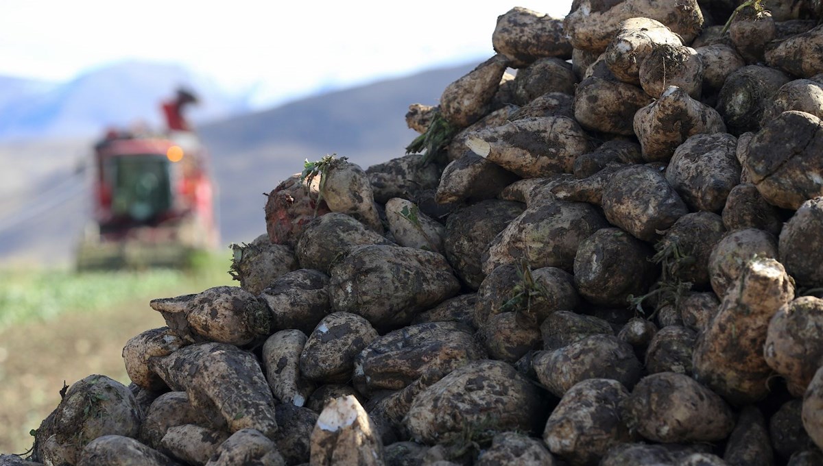 Yüzde 40 arttı: Çiftçilerden rağbet görüyor