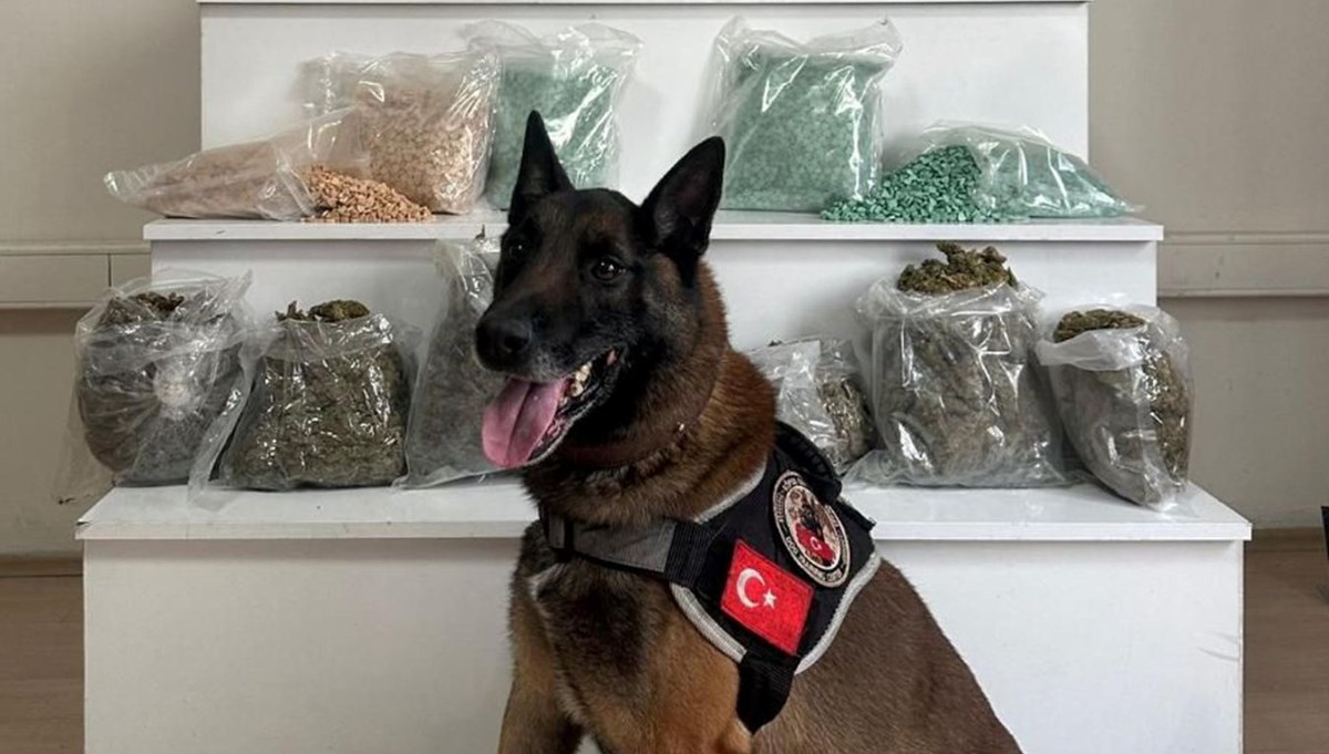 Yolcu otobüsündeki 20 kilo uyuşturucuyu Yolcu otobüsündeki 20 kilo uyuşturucuyu