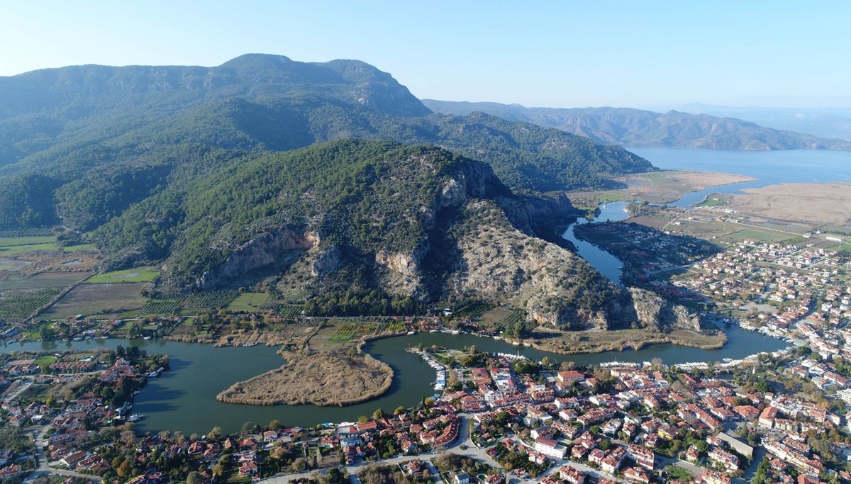 İklim değişikliği nedeniyle bitkiler de göç ediyor: Karadeniz'de maki görülebilir