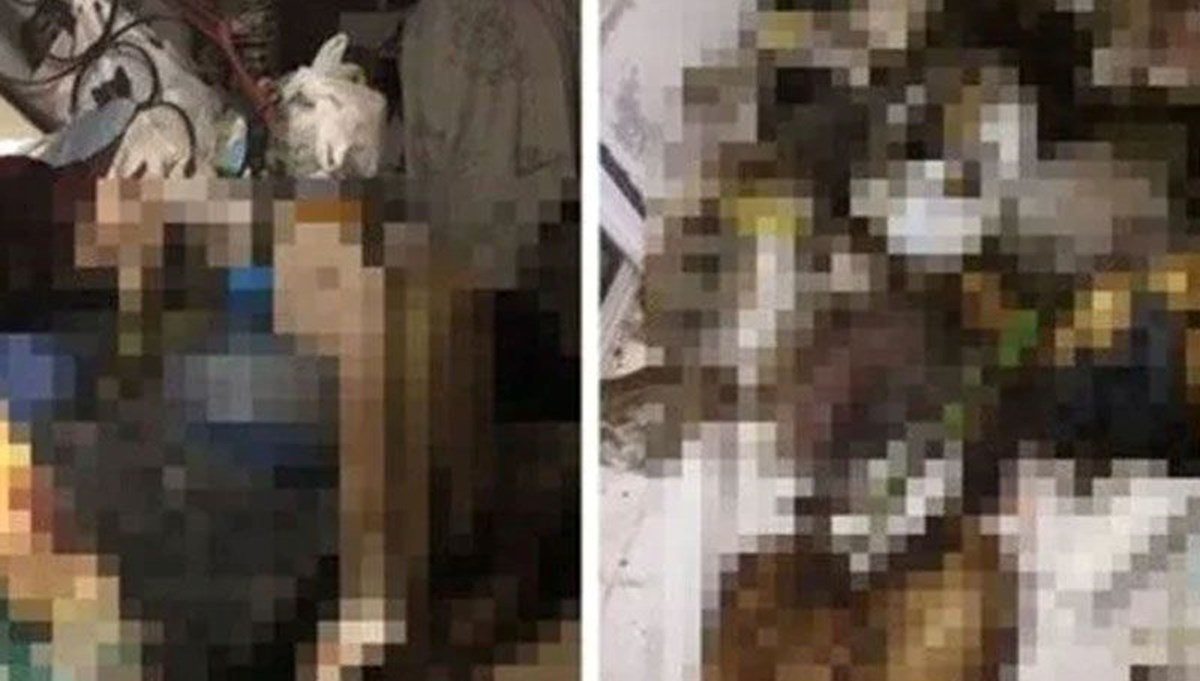 Evinde çürümüş hayvanlar bulunan kadının ifadesi ortaya çıktı Evinde çürümüş hayvanlar bulunan kadının ifadesi ortaya çıktı