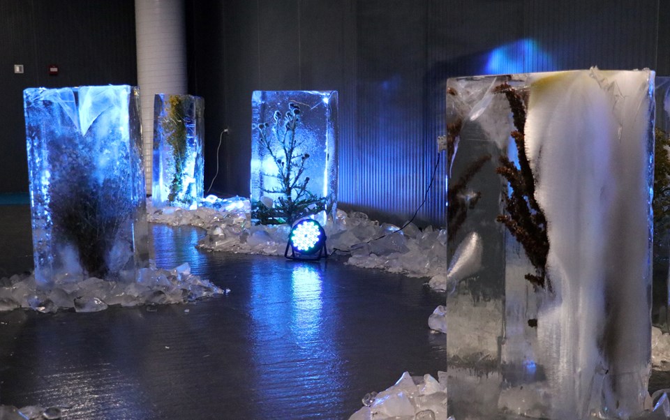Erzurum'daki Ata Buz Müzesi'nde buz içindeki bitkilerle küresel ısınma anlatılıyor - 2