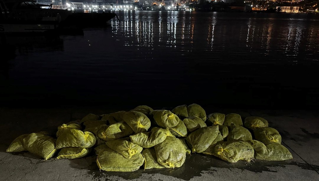 Hepsi İstanbul'da ele geçirildi!1,5 ton kaçak midye