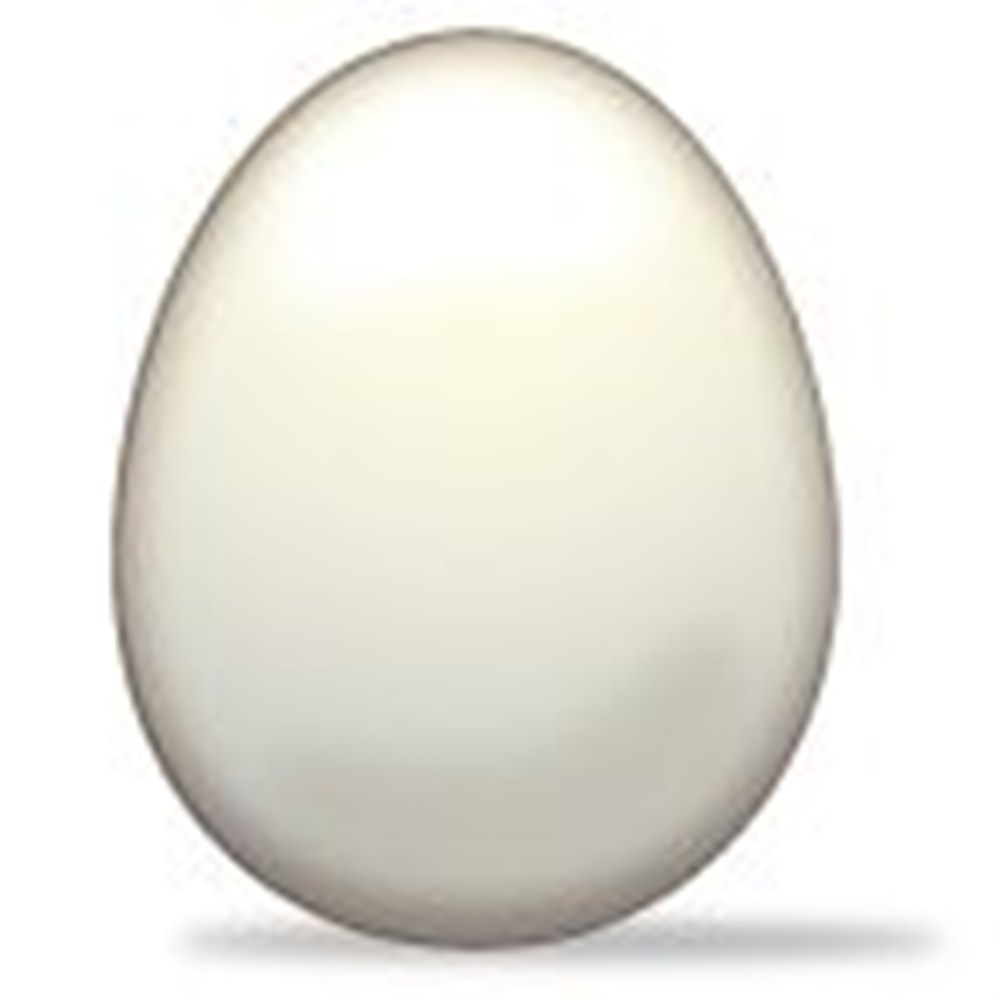 Смайлик яйца. Яйцо. Смайлики на яйцах. Эмодзи яйцо. Яйцо на прозрачном фоне.