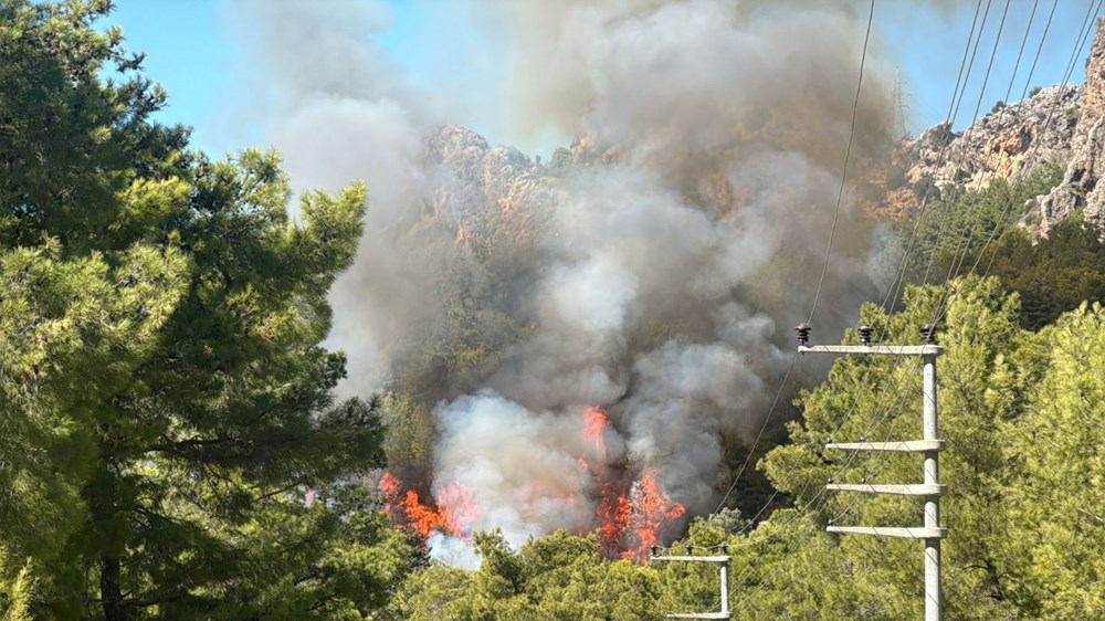 Antalya, Çanakkale ve Konya'da orman yangını - 3