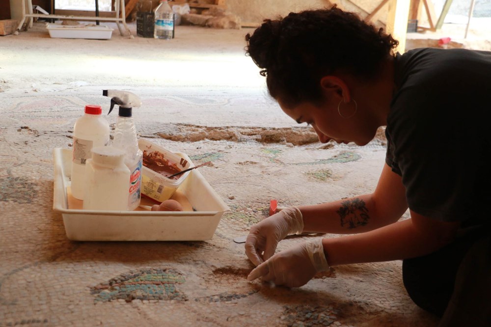 Balatlar Kazısı’nda, Zeugma'dakilere benzer mozaikler bulundu - 16