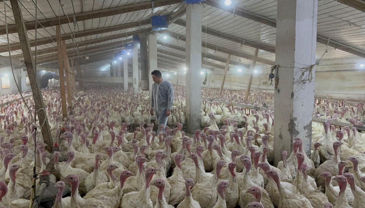 Kilosu 300 liradan alıcı buluyor: Bu ete her geçen gün rağbet artıyor Kilosu 300 liradan alıcı buluyor: Bu ete her geçen gün rağbet artıyor
