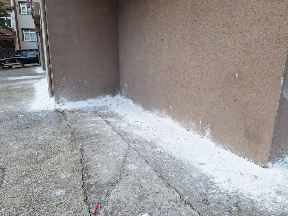 Mahalleyi böcekler bastı, vatandaşlar tedirgin oldu - 1