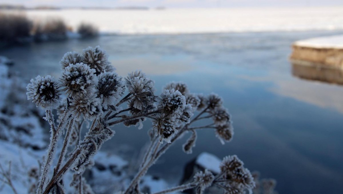 Ardahan'da Kura Nehri buz tuttu