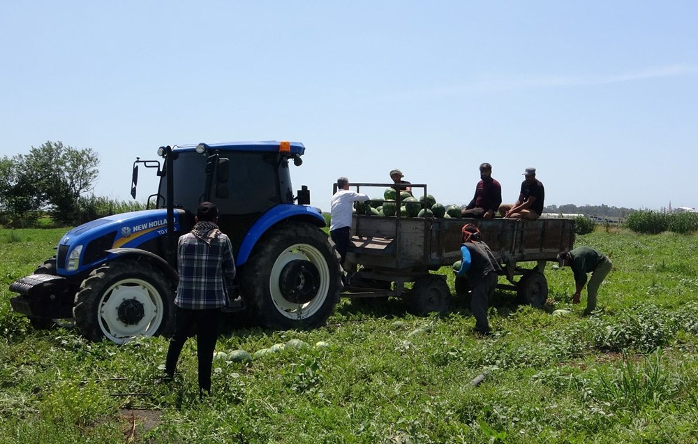 Mersin'de karpuz hasadı başladı: Tarlada kilosu 20 TL'den başlıyor 74 FtHGB9cY3EmM4XSRLIKKOg