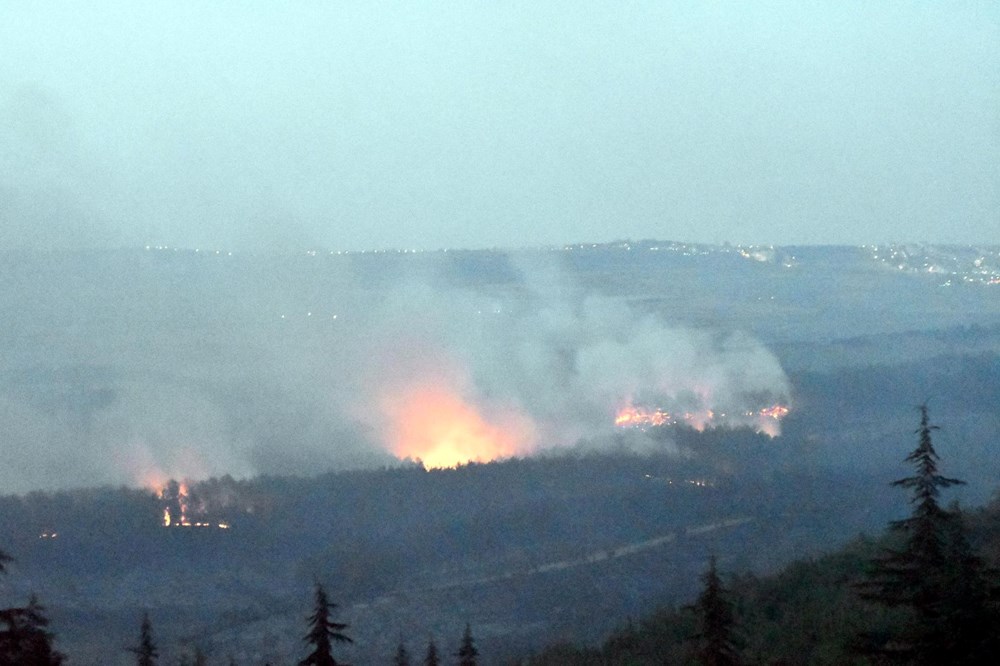 Çanakkale, Tekirdağ ve Diyarbakır'da orman yangını - 7