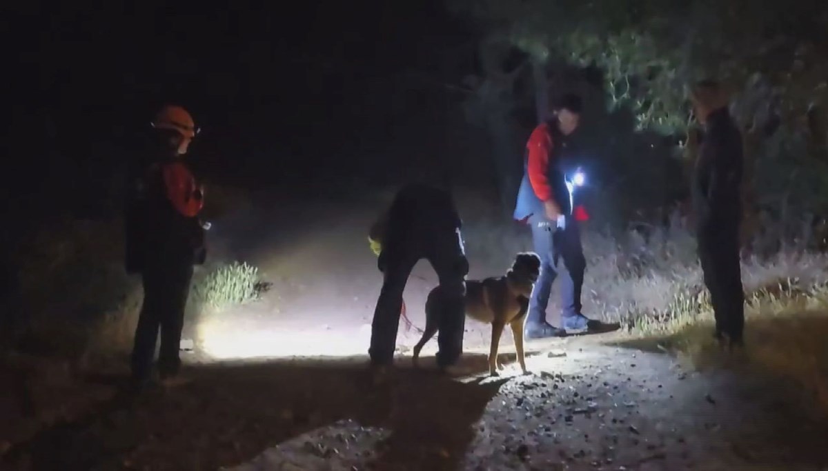 Pendik'te ormanda kaybolan kişi için arama çalışması