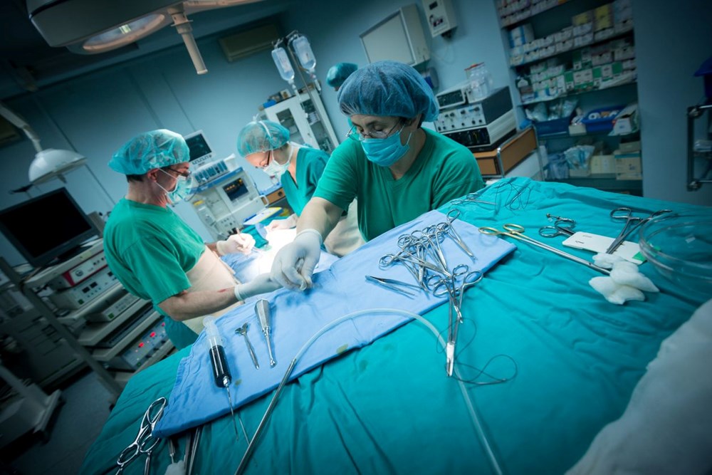 ABD’li cerrahlar domuzdan insana ilk kez çift böbrek nakli gerçekleştirdi: Binlerce hayat kurtarılabilir - 2