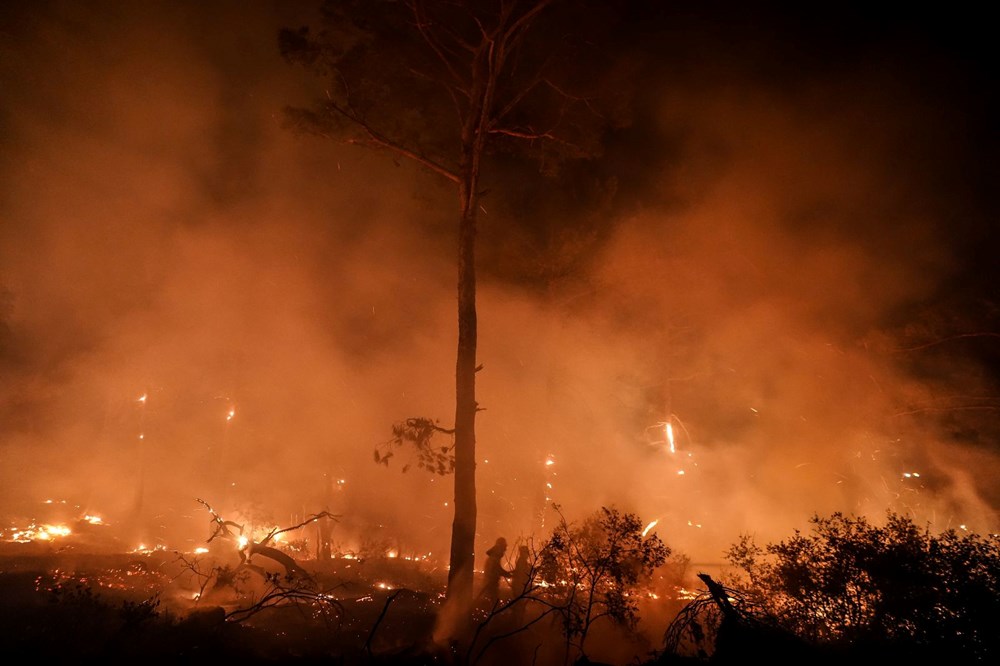 Çanakkale ve Muğla'da orman yangını: Gelibolu'da alevler büyük ölçüde kontrol altında - 2