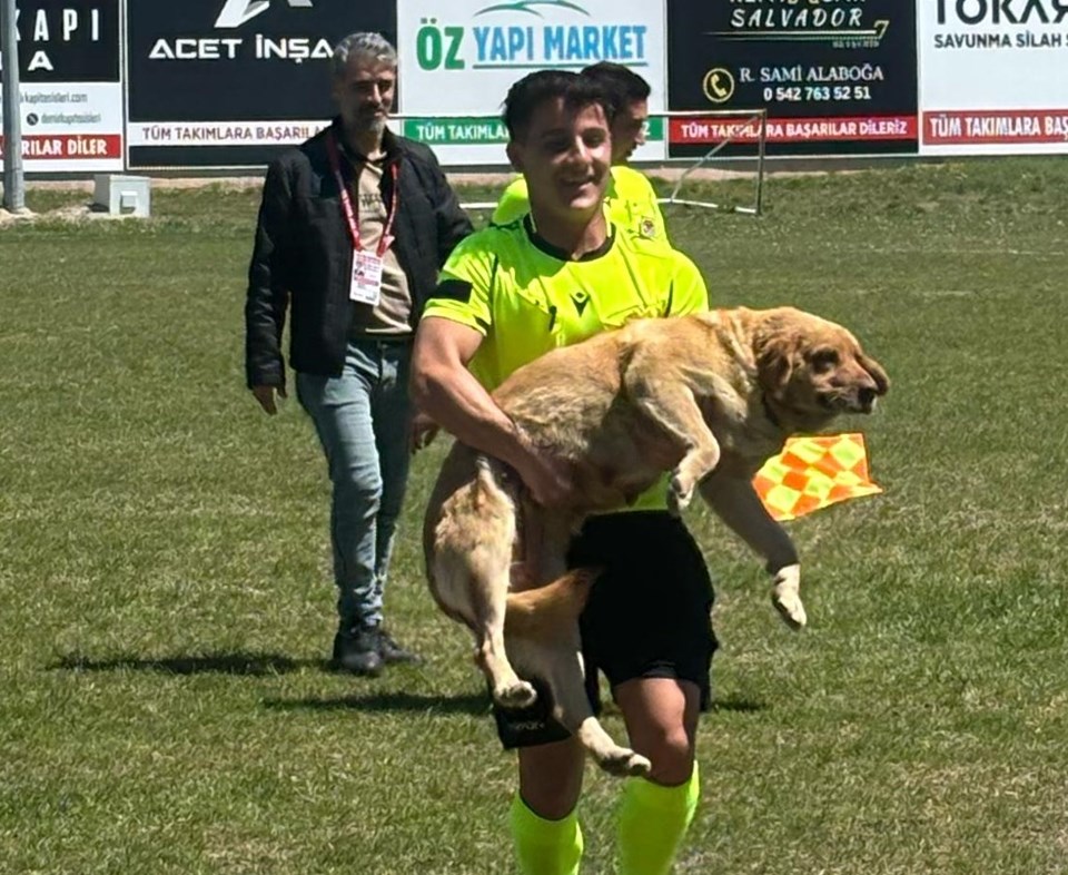 Sahaya giren köpeği kırmızı kartla dışarı çıkardı - 1