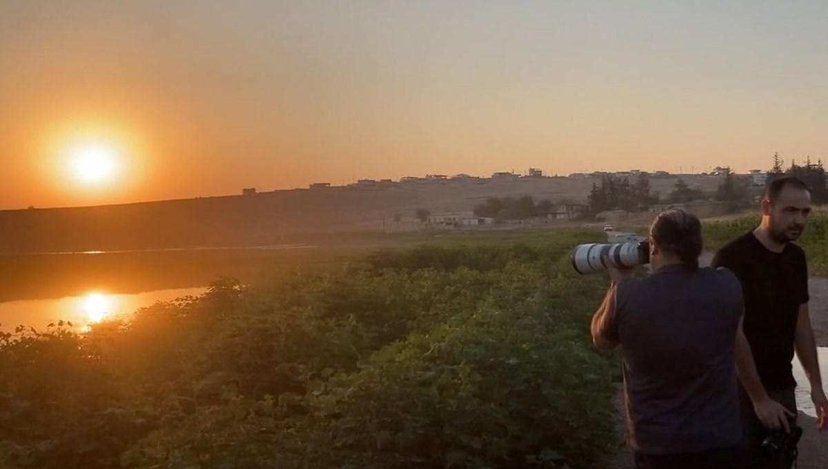 Gaziantep'teki sulak alanlar kuş fotoğrafçılarının uğrak yeri oldu Gaziantep'teki sulak alanlar kuş fotoğrafçılarının uğrak yeri oldu