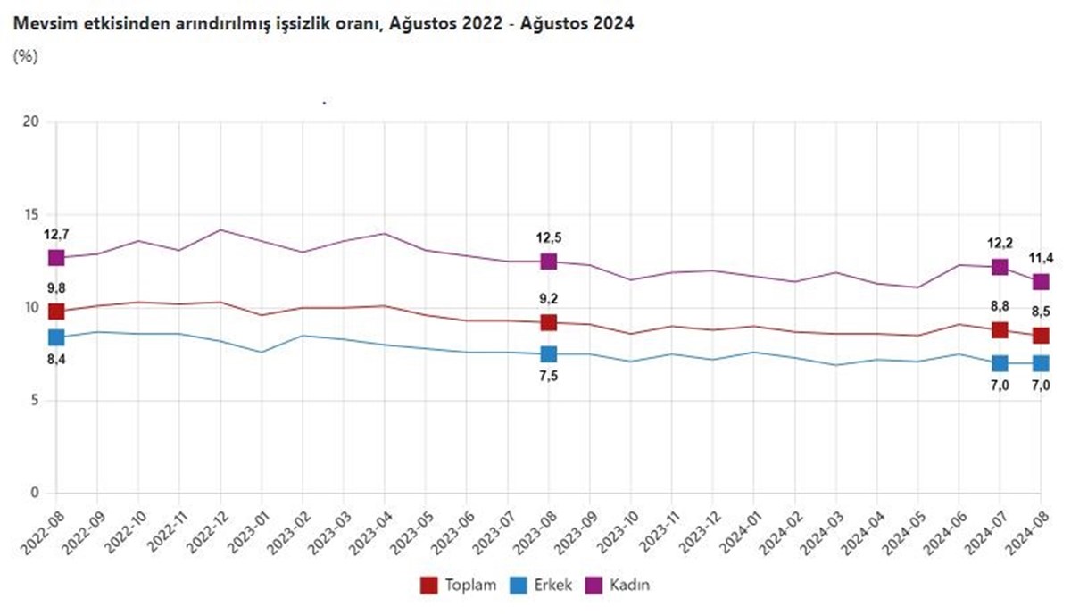 İşsizlik oranı ağustos ayında yüzde 8,5 İşsizlik oranı ağustos ayında yüzde 8,5
