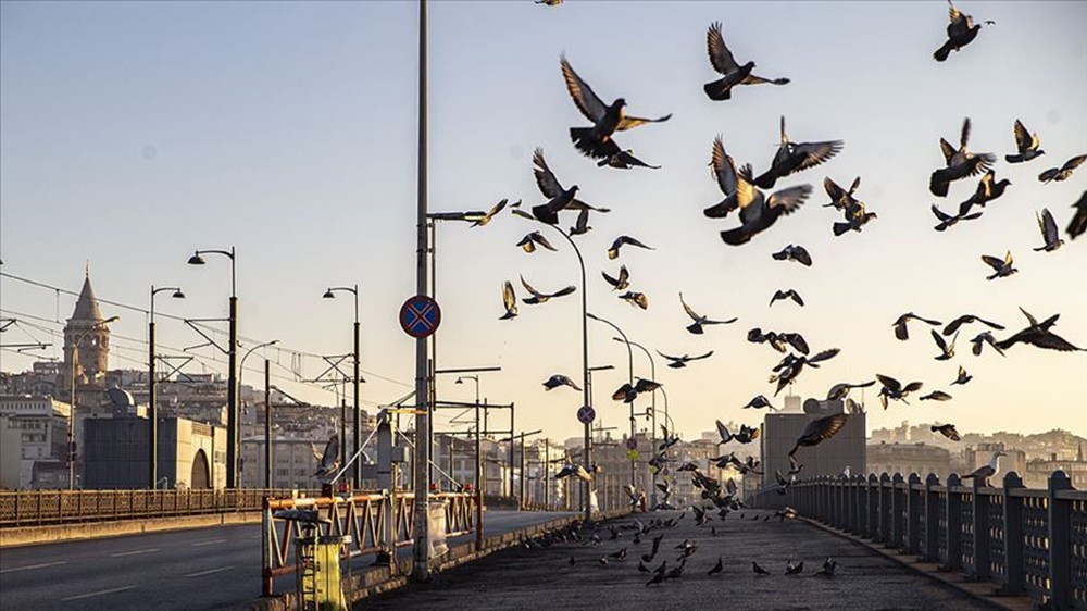 Kademeli normalleşme başlıyor: 8 maddede yeni dönem - 2