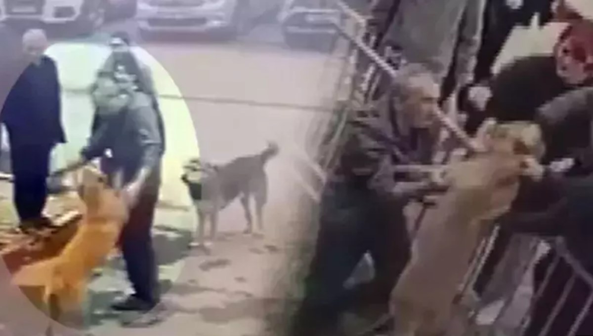 Mahsur kaldığı dereden kurtarılan köpeğin sevgi gösterisi