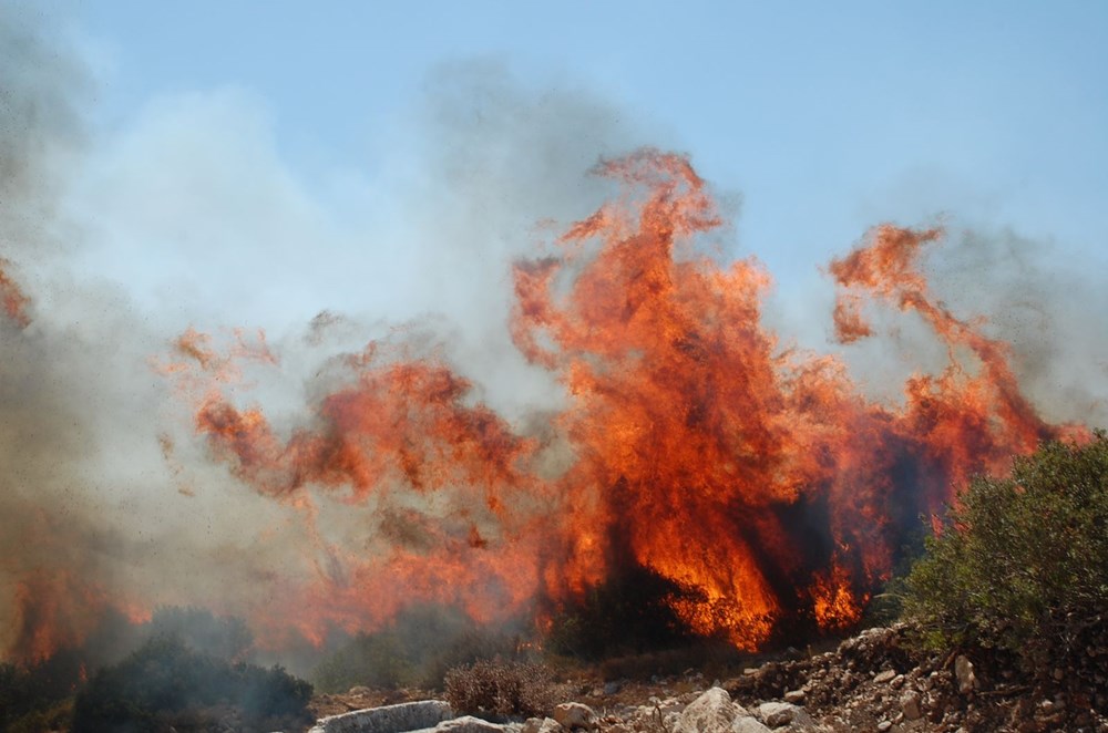 Antalya, Adana, Mersin, Aydın, Muğla, Osmaniye ve Kayseri'de orman yangınları - 28