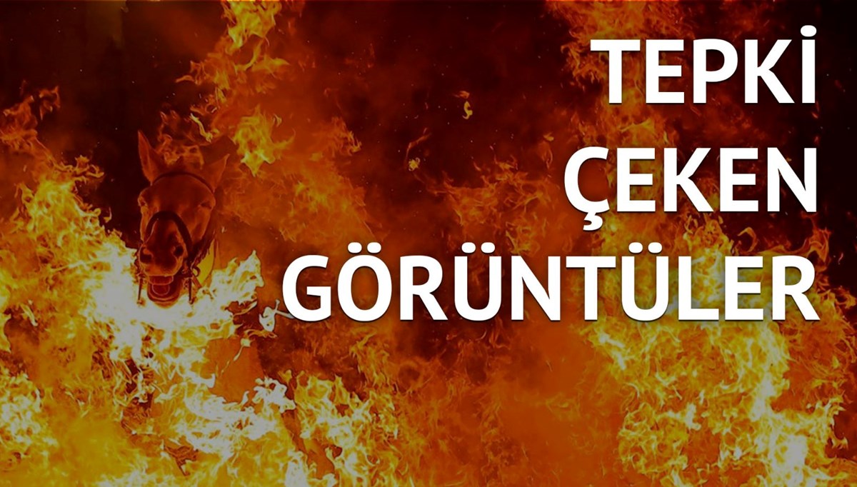Hayvanseverler tepkili: Atlar ateş üzerinden atlatıldı