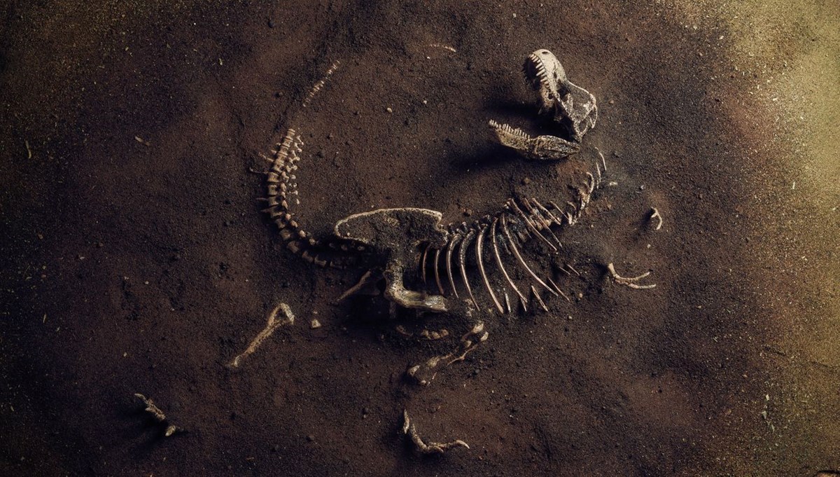 Toplu dinozor mezarının gizemi çözüldü Toplu dinozor mezarının gizemi çözüldü