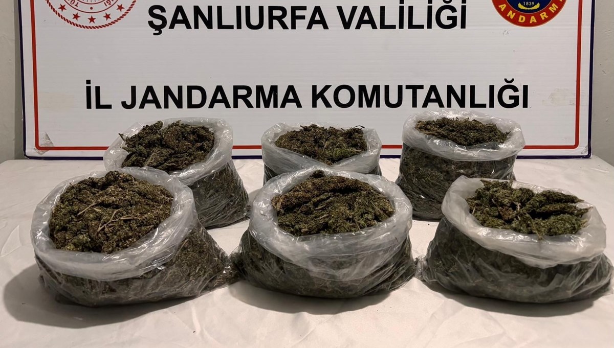 Şanlıurfa'da uyuşturucu operasyonu: 16 gözaltı