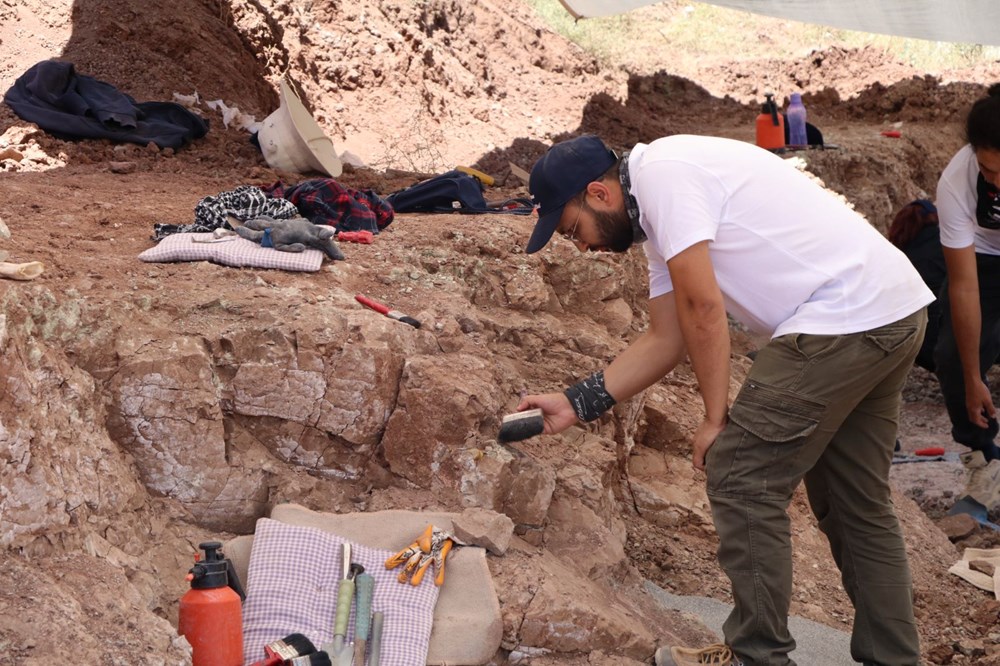 ''Çankırı''nın Jurassic Park''ında kazılar başladı: 9 milyon yıl öncesine ait hayvan fosilleri bulundu - 4