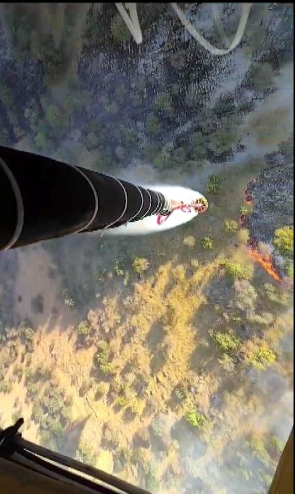 Kahramanmaraş'taki orman yangınının nedeni belli oldu - 4