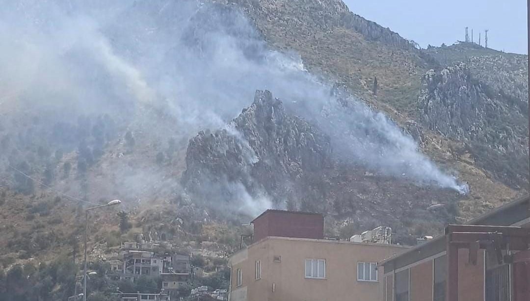 Hatay'da orman yangını