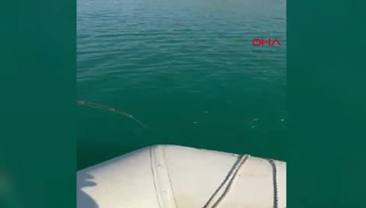 Adana'da oltayla 45 kiloluk yayın balığı yakaladı Adana'da oltayla 45 kiloluk yayın balığı yakaladı