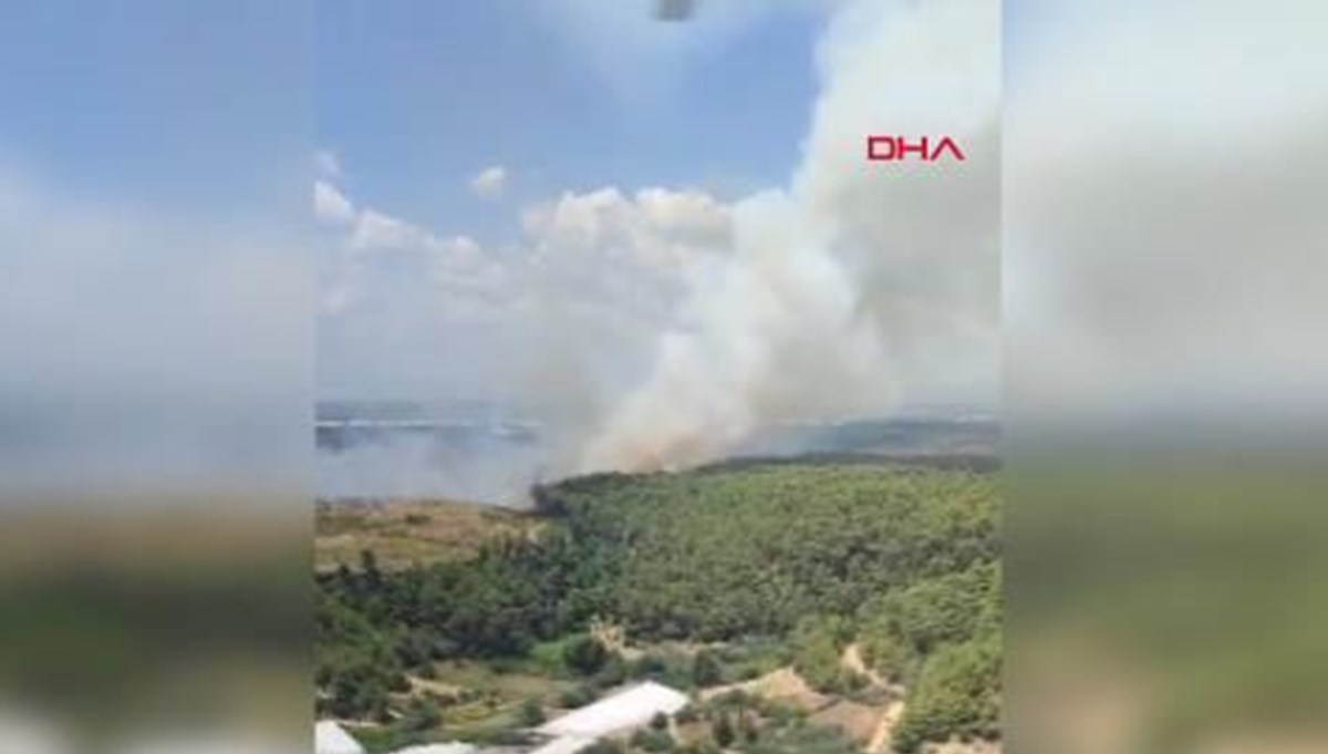 Antalya'da orman yangını Antalya'da orman yangını