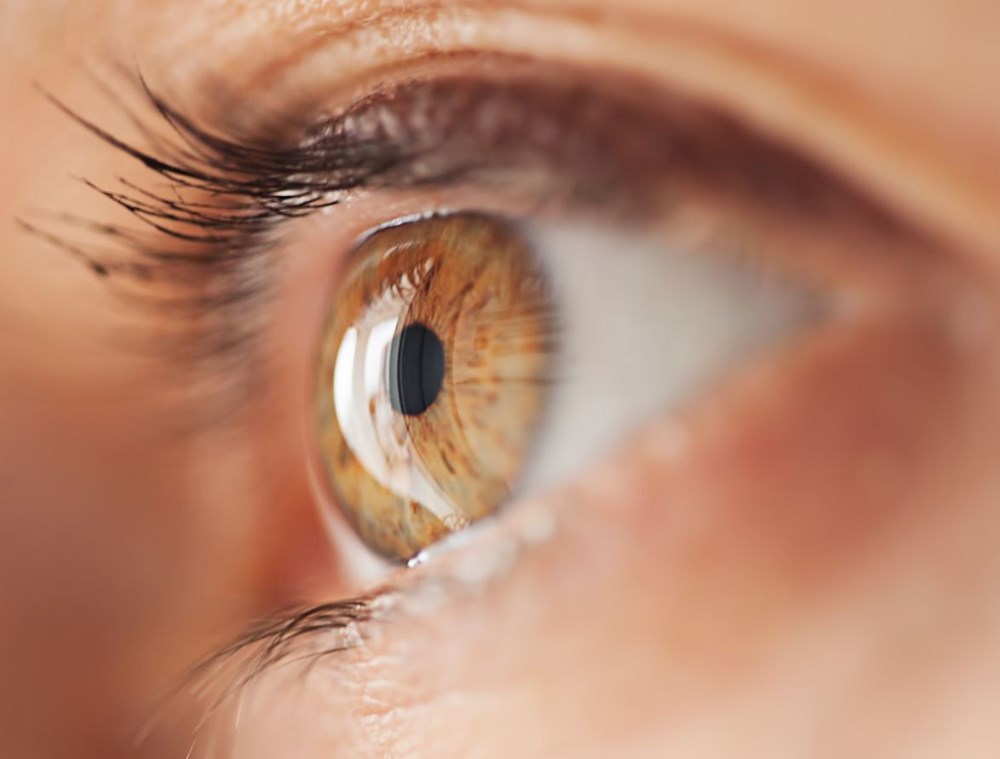 Gözleriniz yaşam sürenizi ele veriyor: Retina yaşlanma ve ölüm riskini ortaya koyuyor - 2