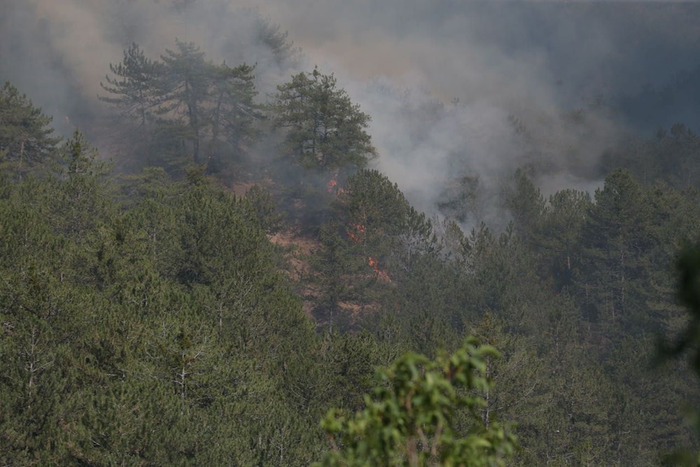Bolu, Manisa ve İzmir'de orman yangını: Çanakkale'deki yangın kontrol altında - 38