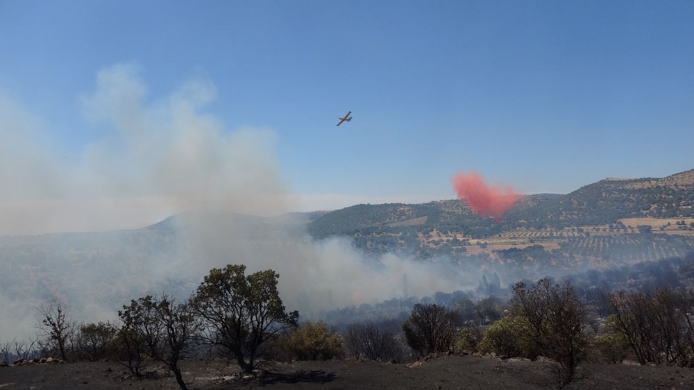 Çanakkale, Tekirdağ ve Diyarbakır'da orman yangını - 5