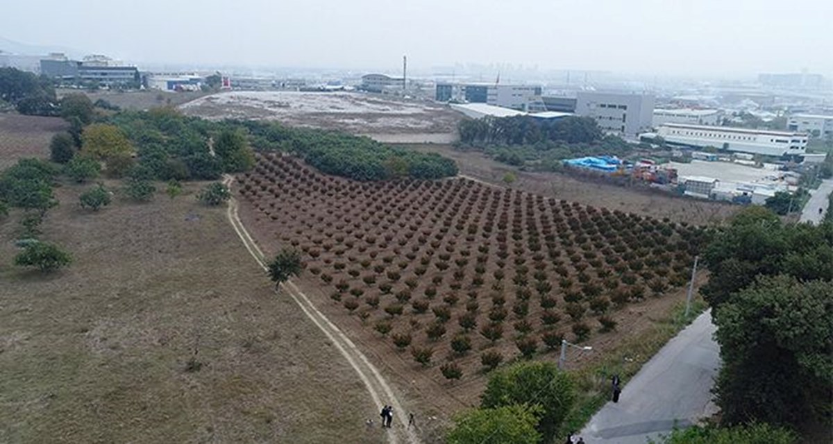 G6nxcQa3yEeUt_m-JoGUOA.jpg