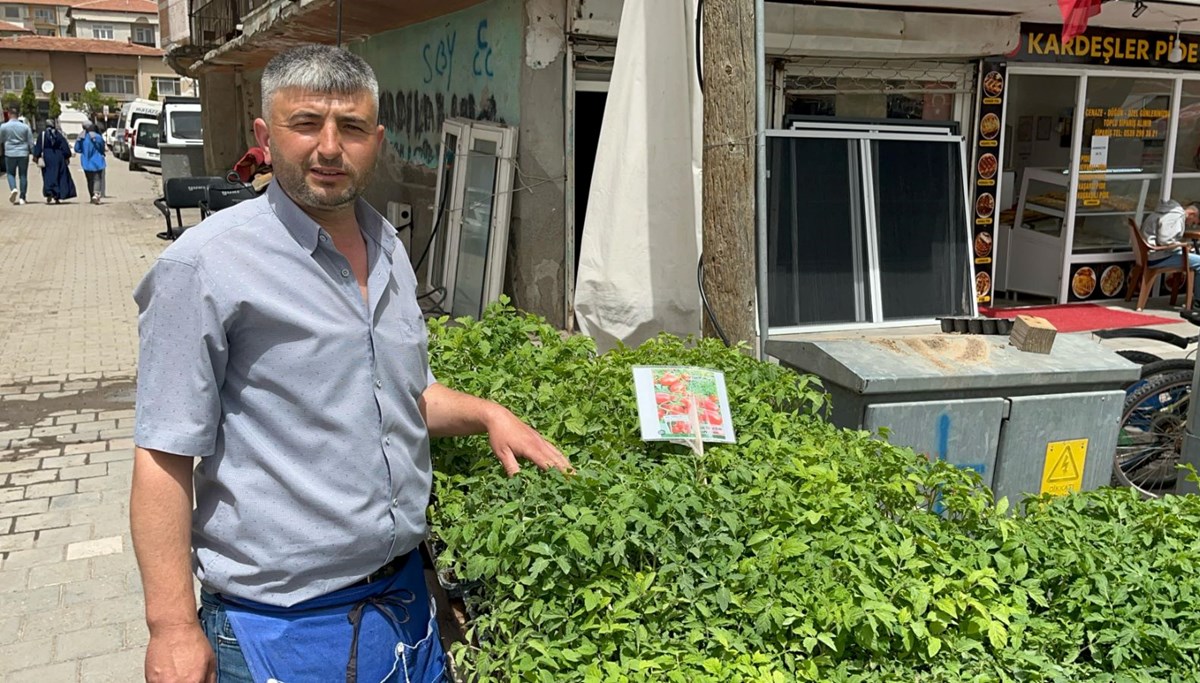 Bahçesine ekenler kendi yetiştirip kendi yiyor: Fide tezgahlarının yolunu tutuyorlar Bahçesine ekenler kendi yetiştirip kendi yiyor: Fide tezgahlarının yolunu tutuyorlar