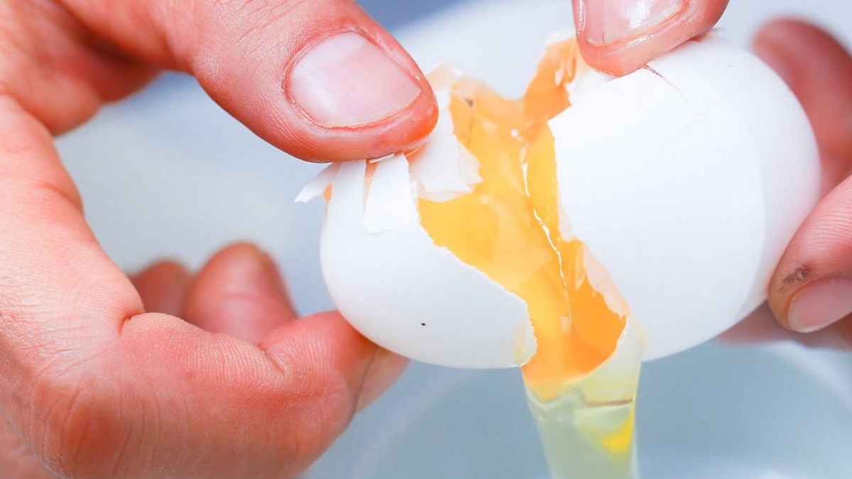 yumurta yemek ne zaman tehlikeli olur yumurta yerken nelere dikkat edilmeli saglik haberleri ntv
