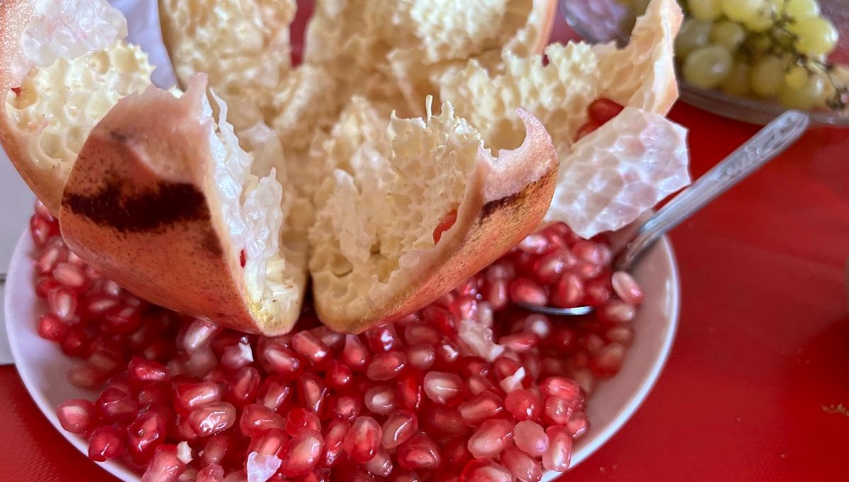 Genç girişimci nar kabuğundan deri üretti: Otomotiv ve giyimde kullanılacak