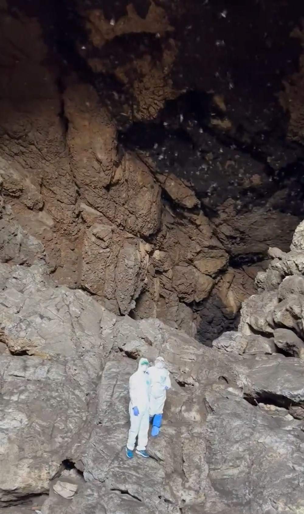 İngiliz bilim insanı: Covid-19’un merkezi Tayland'daki bir mağara - 1