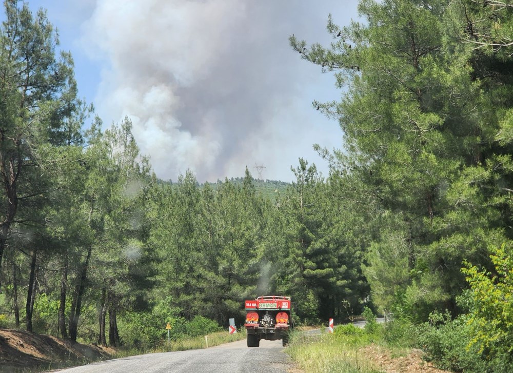 Bursa, Muğla ve Antalya'da orman yangını - 3