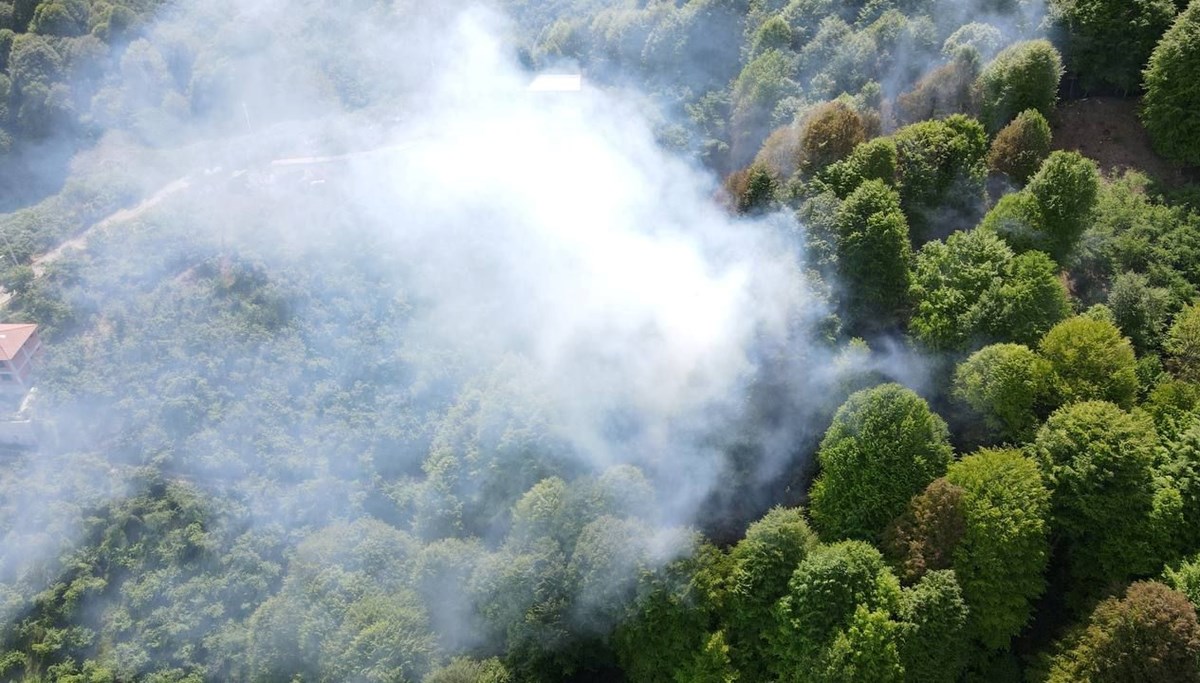 Temizlik için yakılan ateş ormanı yaktı