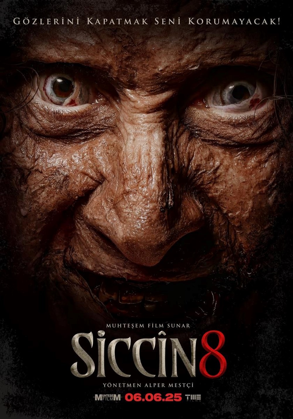 Sinema rehberi: Hangi filmler vizyona girdi? - 5