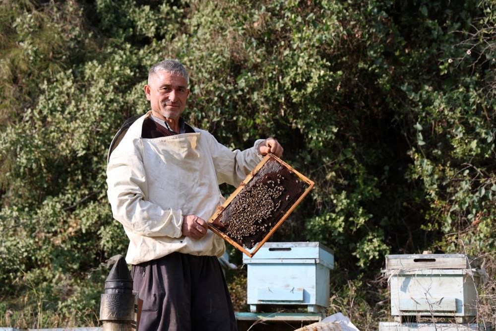 Arı ölümleri artınca nedeni araştırıldı yalancı bahar arıları vurdu - 4