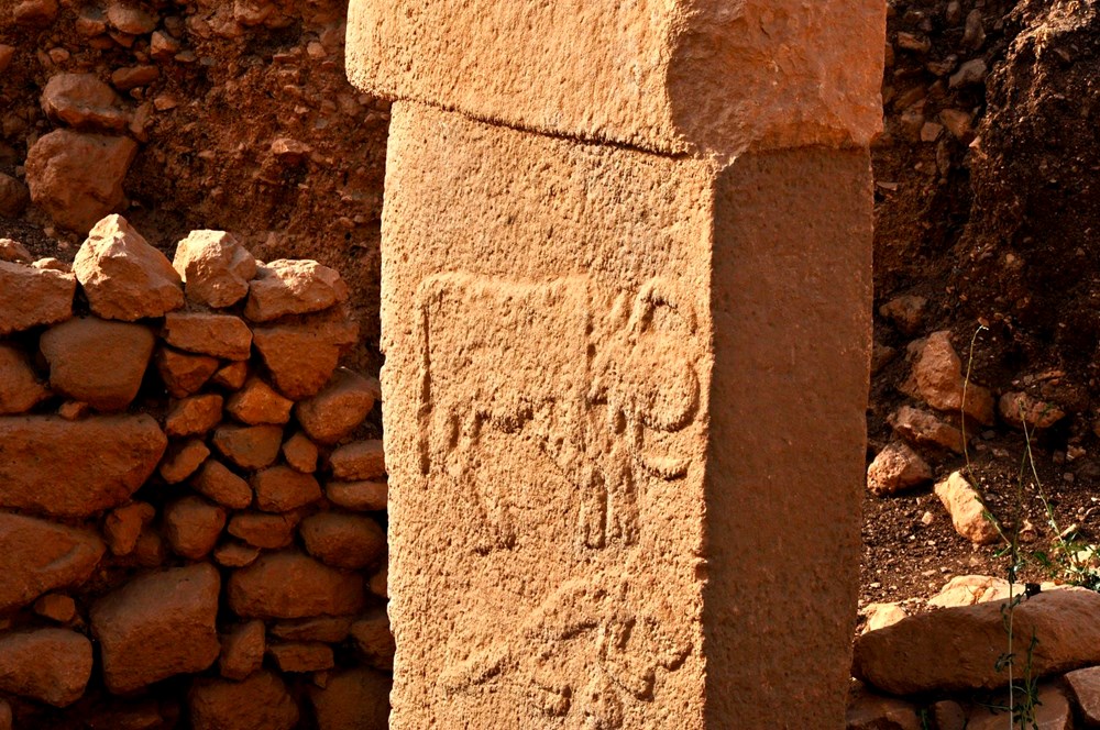Tarihin sıfır noktası: Göbeklitepe - 5