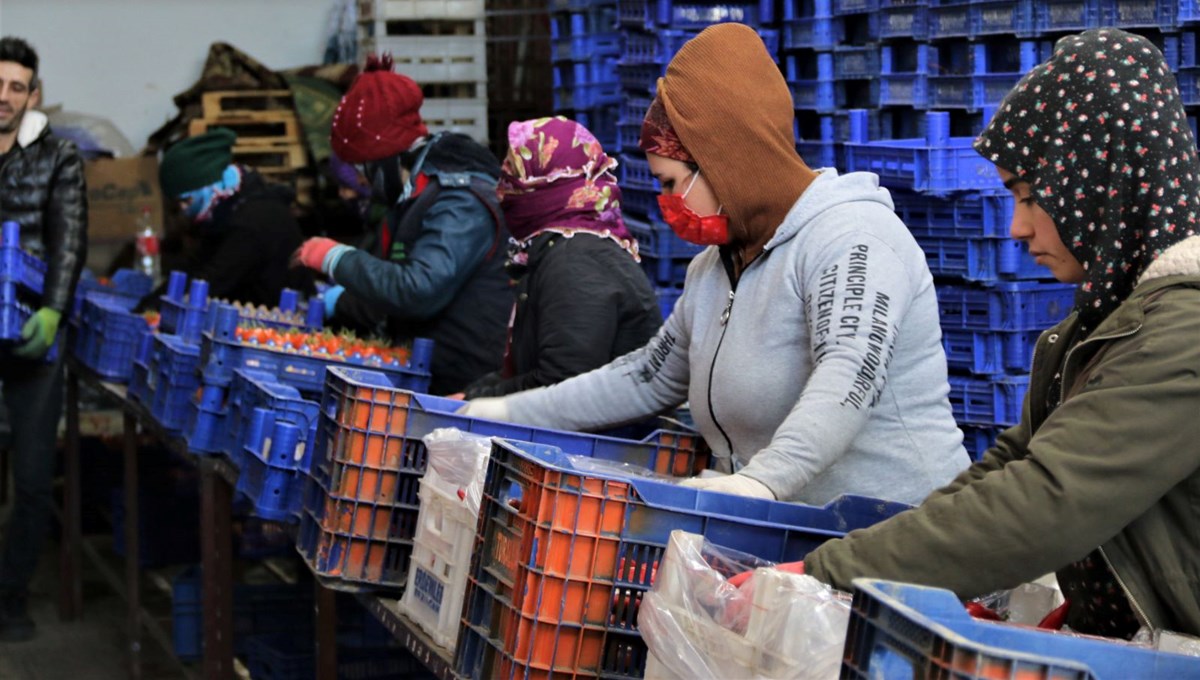 Soğuk havalar Antalya'da toptancı halini de vurdu Soğuk havalar Antalya'da toptancı halini de vurdu