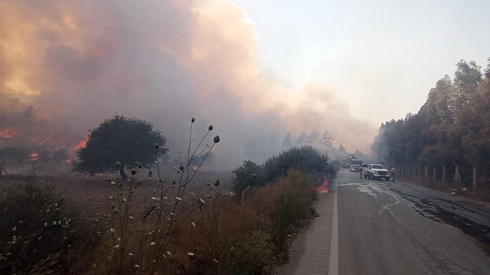 Muğla Milas'ta orman yangını - 4