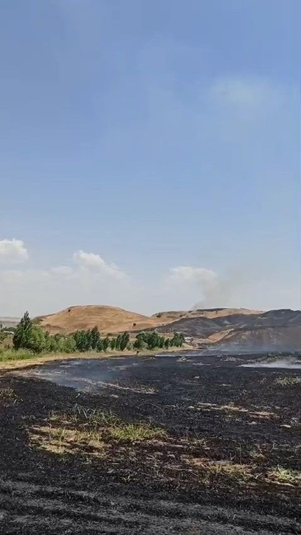 Diyarbakır'da anız yangını: 9 saatte söndürüldü, 12 bin dönüm arazi zarar gördü - 6